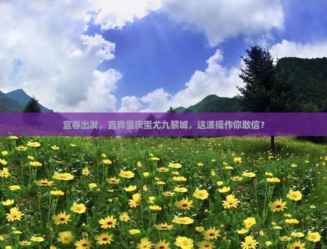宜春去重庆蚩尤九黎城自由行