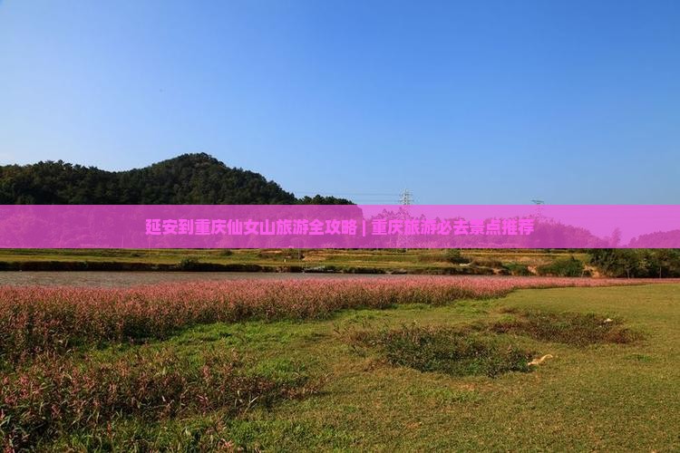 延安到重庆仙女山旅游