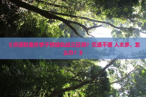 济源到重庆李子坝轻轨站三日游