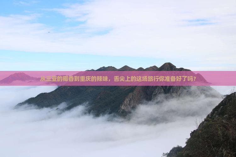三亚到重庆旅游小吃