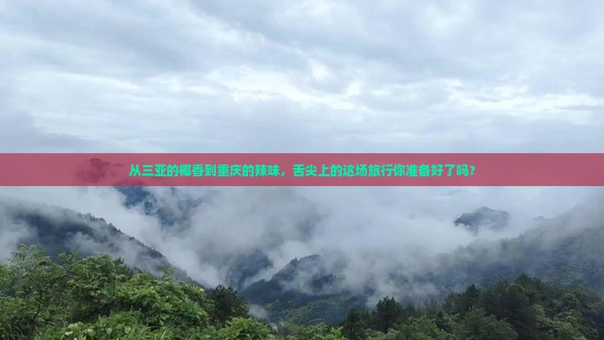 三亚到重庆旅游小吃