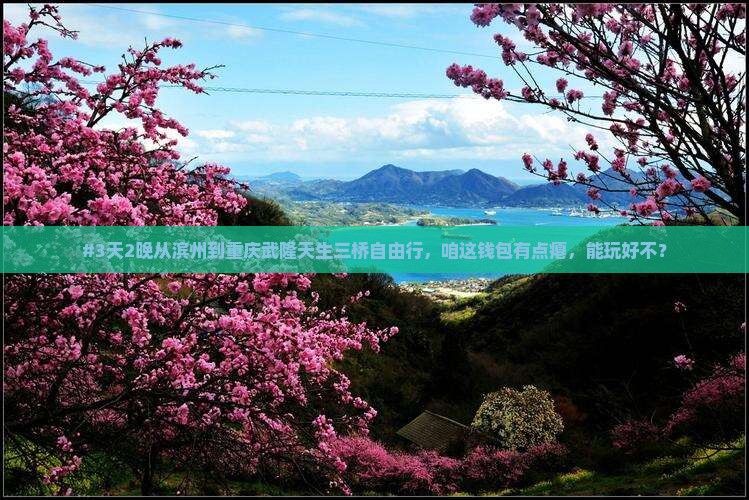 滨州去重庆武隆天生三桥自由团