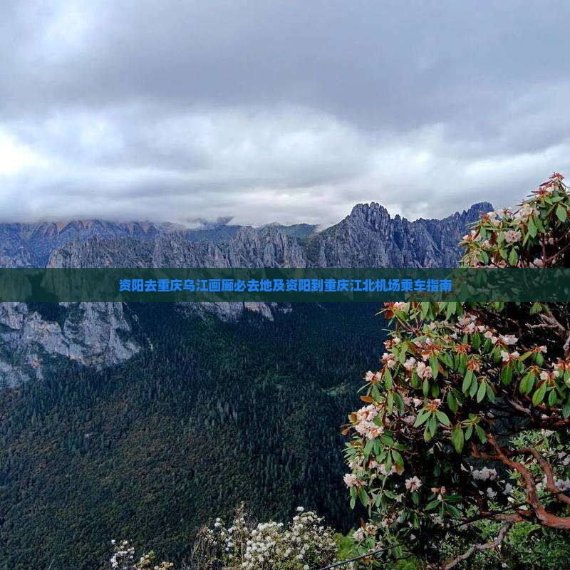 资阳去重庆乌江画廊必去地