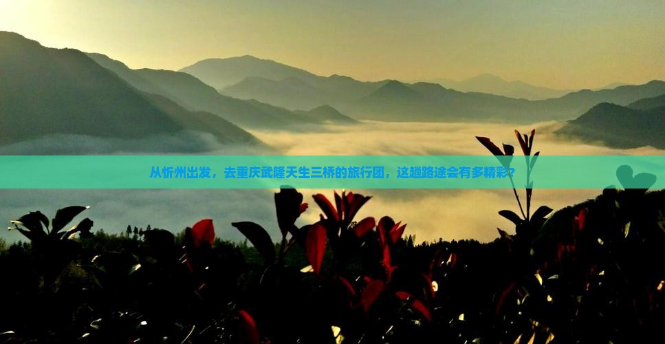 忻州到重庆武隆天生三桥大型旅游团
