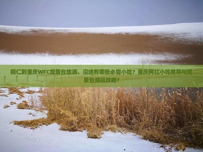 铜仁到重庆wfc观景台旅游小吃