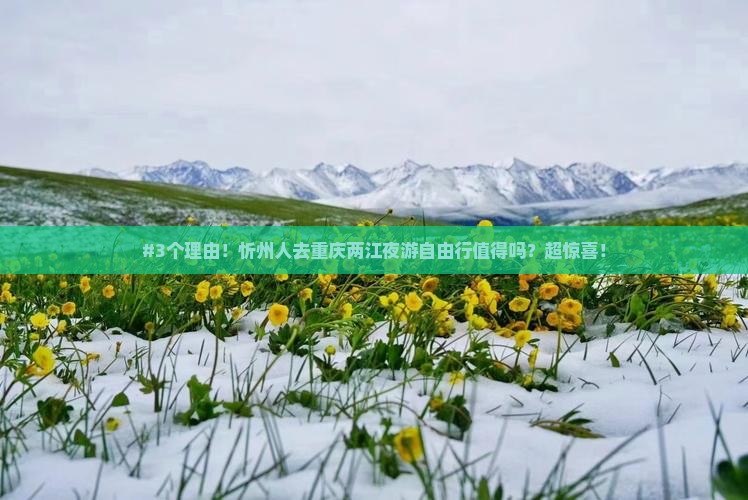忻州去重庆两江夜游自由行 忻州去重庆两江夜游自由行