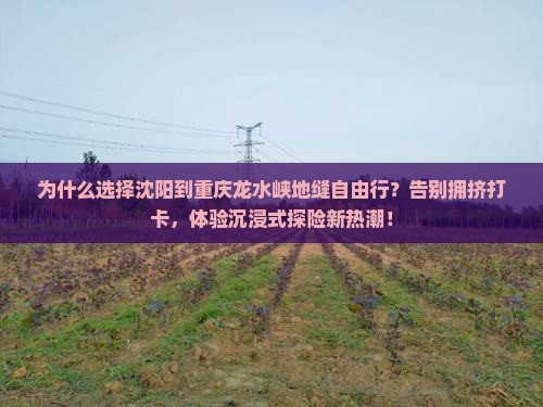 沈阳到重庆龙水峡地缝自由行