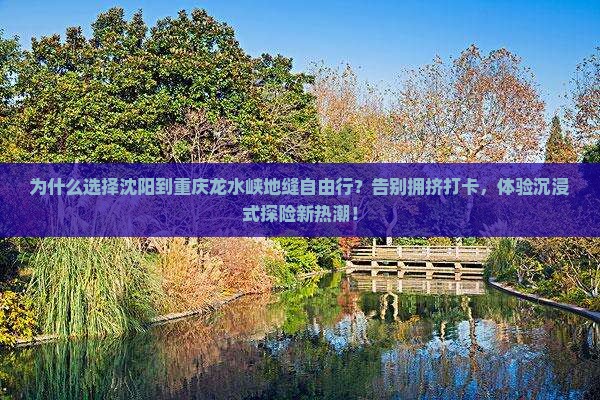 沈阳到重庆龙水峡地缝自由行