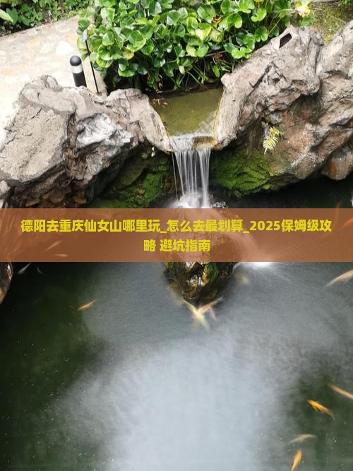 德阳去重庆仙女山哪里玩