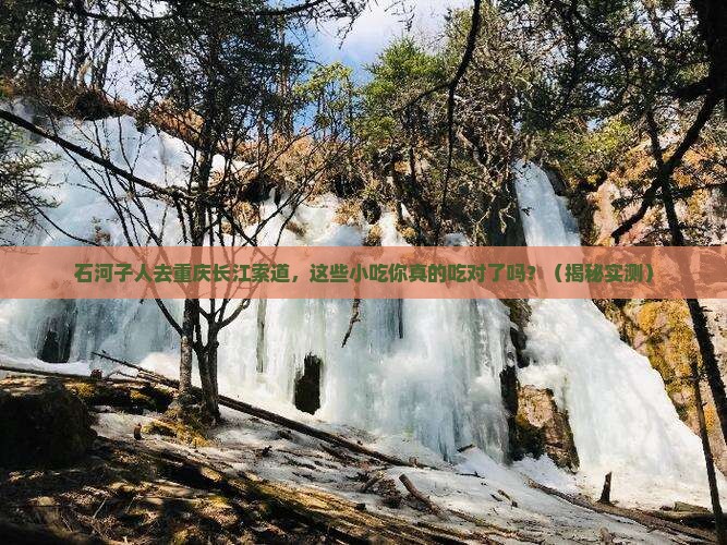 石河子去重庆长江索道旅游小吃
