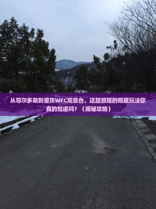 鄂尔多斯去重庆wfc观景台必去地