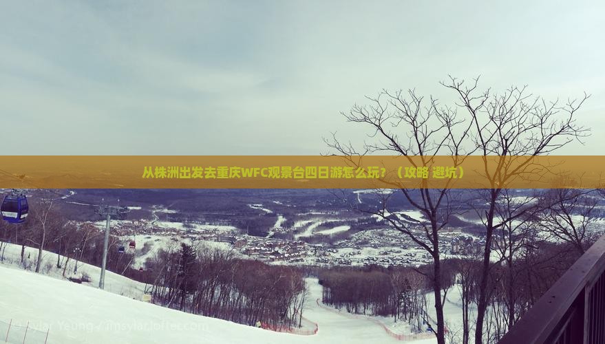 株洲去重庆wfc观景台四日游