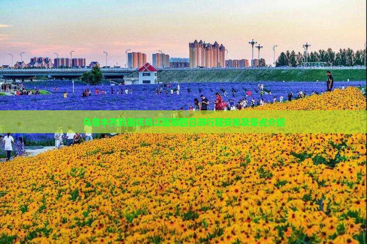 乌鲁木齐到重庆乌江画廊四日游
