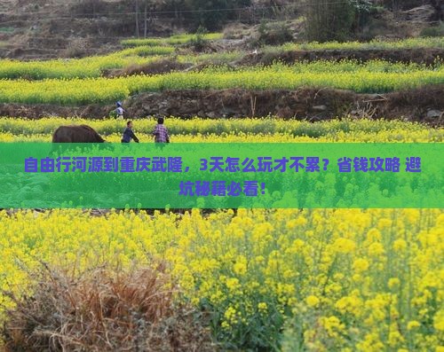 河源到重庆武隆自由行