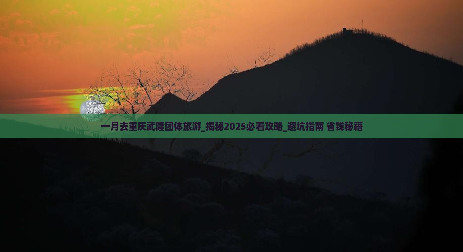 一月去重庆武隆团体旅游