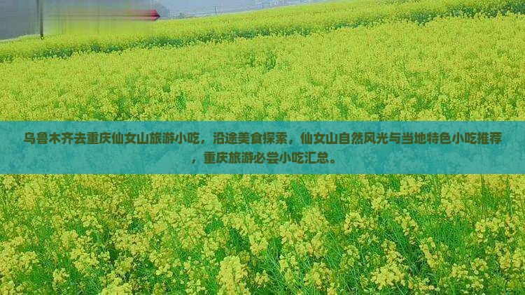 乌鲁木齐去重庆仙女山旅游小吃