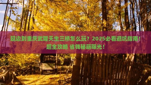 延边到重庆武隆天生三桥旅游