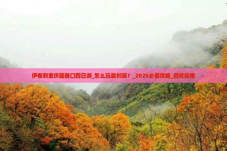 伊春到重庆磁器口四日游