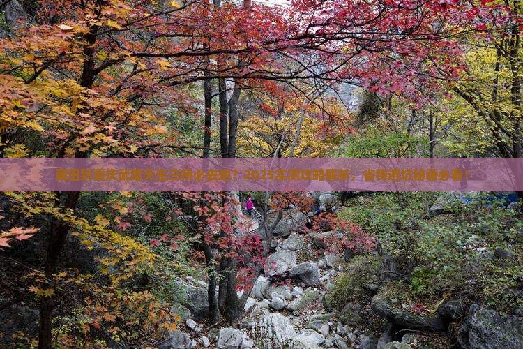 莆田到重庆武隆天生三桥必去地