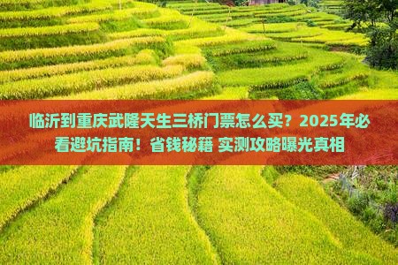 临沂到重庆武隆天生三桥门票