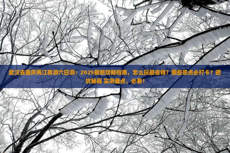 武汉去重庆两江夜游六日游