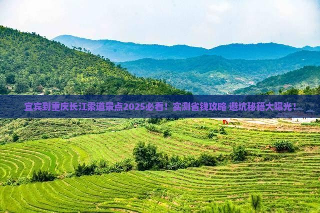 宜宾到重庆长江索道景点