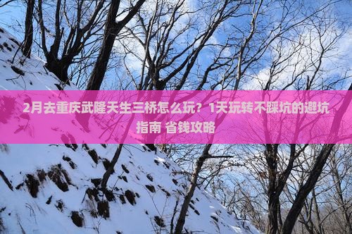 二月到重庆武隆天生三桥一日