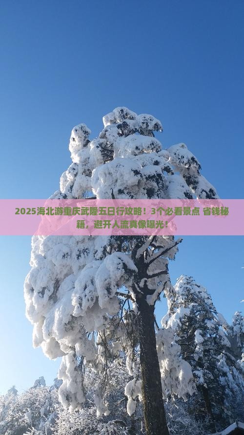 海北到重庆武隆天生三桥五日游