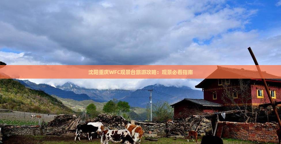 沈阳去重庆wfc观景台攻略