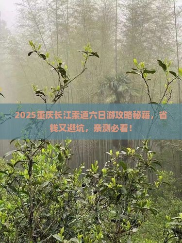 九月到重庆长江索道六日游