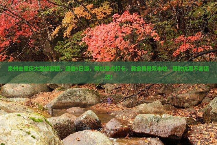 泉州去重庆大型旅游团