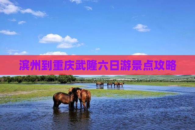 滨州到重庆武隆六日游