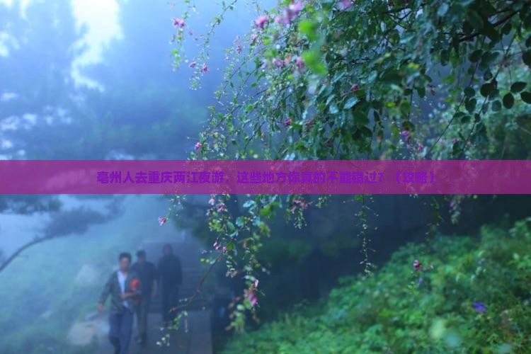 亳州去重庆两江夜游必去地