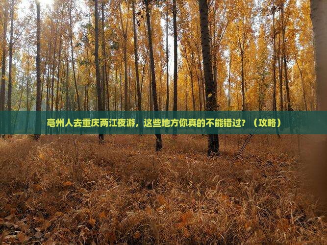亳州去重庆两江夜游必去地
