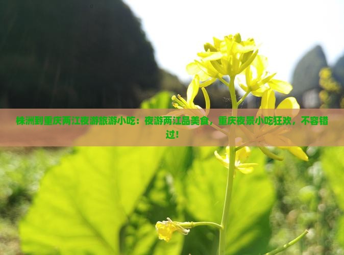 株洲到重庆两江夜游旅游小吃
