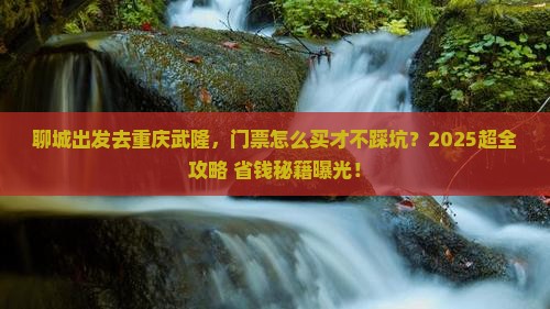 聊城到重庆武隆门票