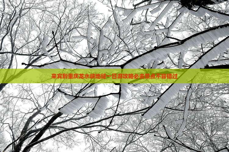 来宾到重庆龙水峡地缝一日