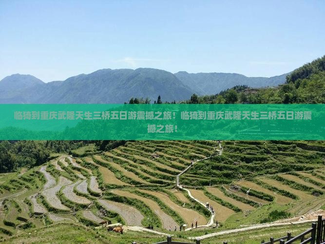临猗到重庆武隆天生三桥五日游