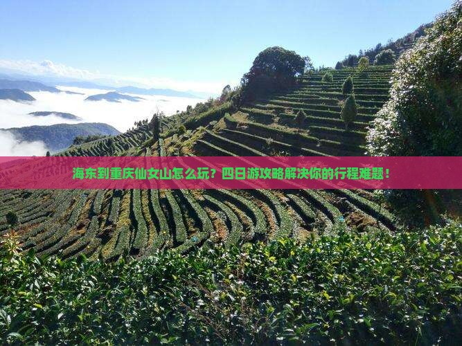 海东到重庆仙女山四日游