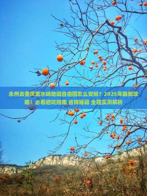 永州去重庆龙水峡地缝自由团