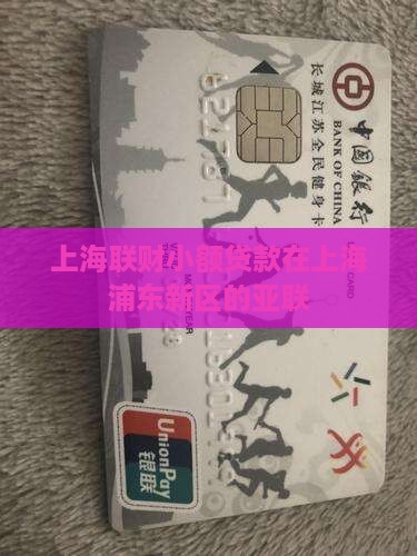 上海联财小额贷款在上海浦东新区的亚联