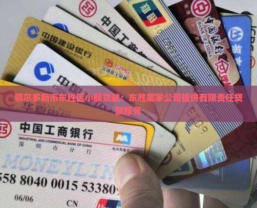 鄂尔多斯市东胜区小额贷款：东胜哪家公司提供有限责任贷款服务