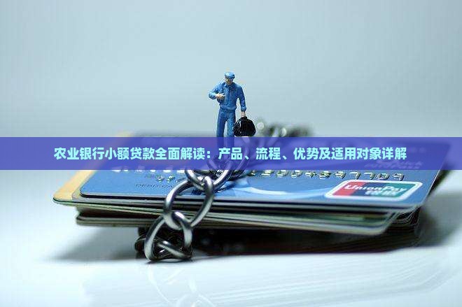 农业银行小额贷款全面解读：产品、流程、优势及适用对象详解