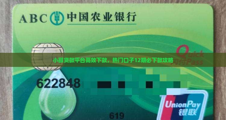 小额贷款平台高效下款，热门口子12期必下款攻略