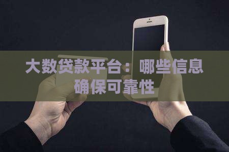 大数贷款平台：哪些信息确保可靠性