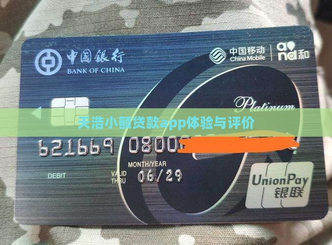 天浩小额贷款app体验与评价