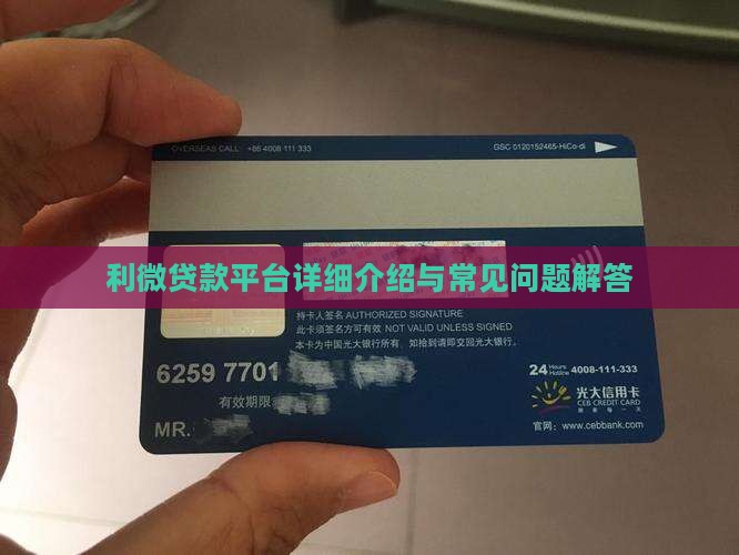 利微贷款平台详细介绍与常见问题解答