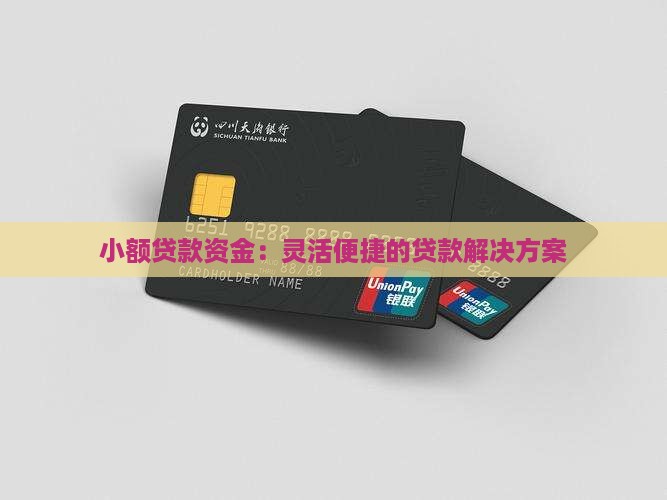小额贷款资金：灵活便捷的贷款解决方案