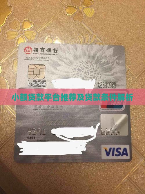 小额贷款平台推荐及贷款条件解析