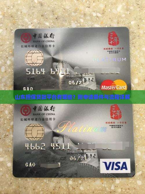 山东担保贷款平台有哪些？附申请条件与流程详解